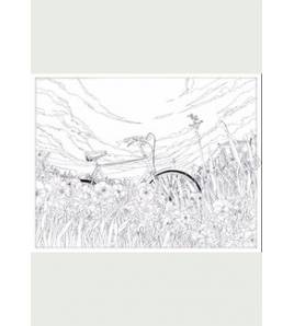 Viaje al fin del mundo en bicicleta|Shan Jiang|Ilustraciones|9788416497133|Libros de Ruta