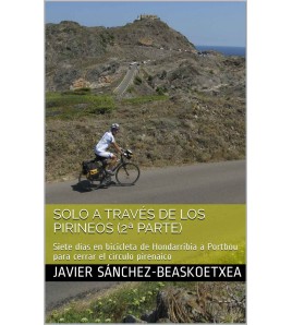 Javier Sánchez-Beaskoetxea